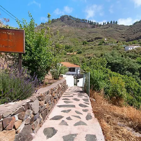 Casa Abuela Fela * Vega de San Mateo